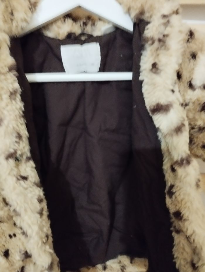 Manteau - photo numéro 3