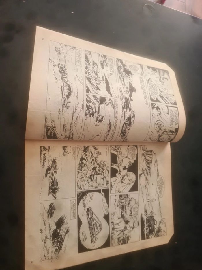 Bob Mallard le.pilote masqué - photo numéro 5