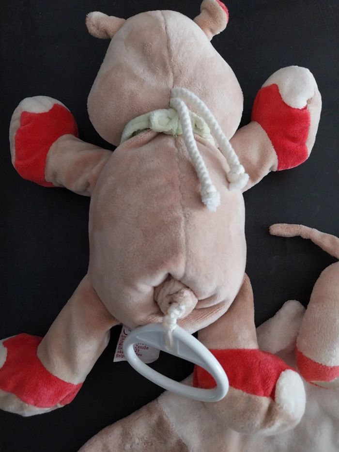 Rhino bengy - photo numéro 3