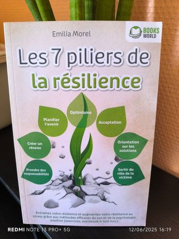 les 7 piliers de la résilience