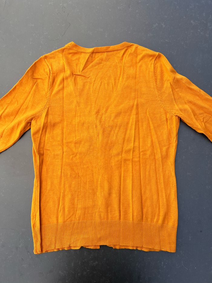 Gilet - photo numéro 2