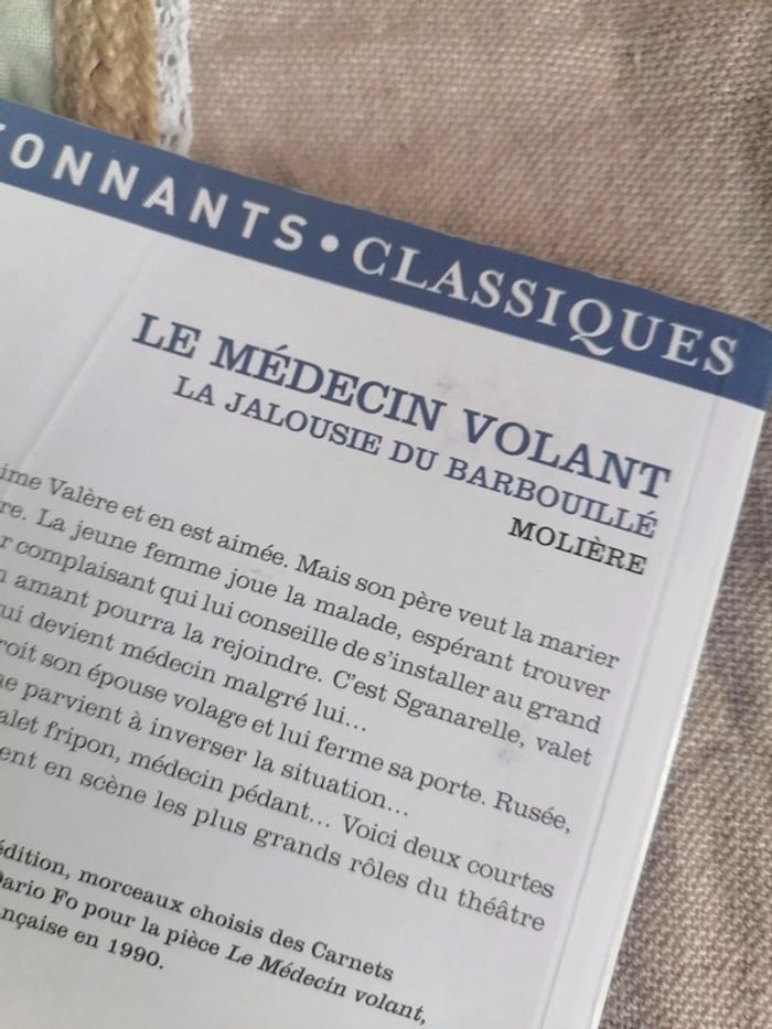 Le médecin volant-Molière - photo numéro 2