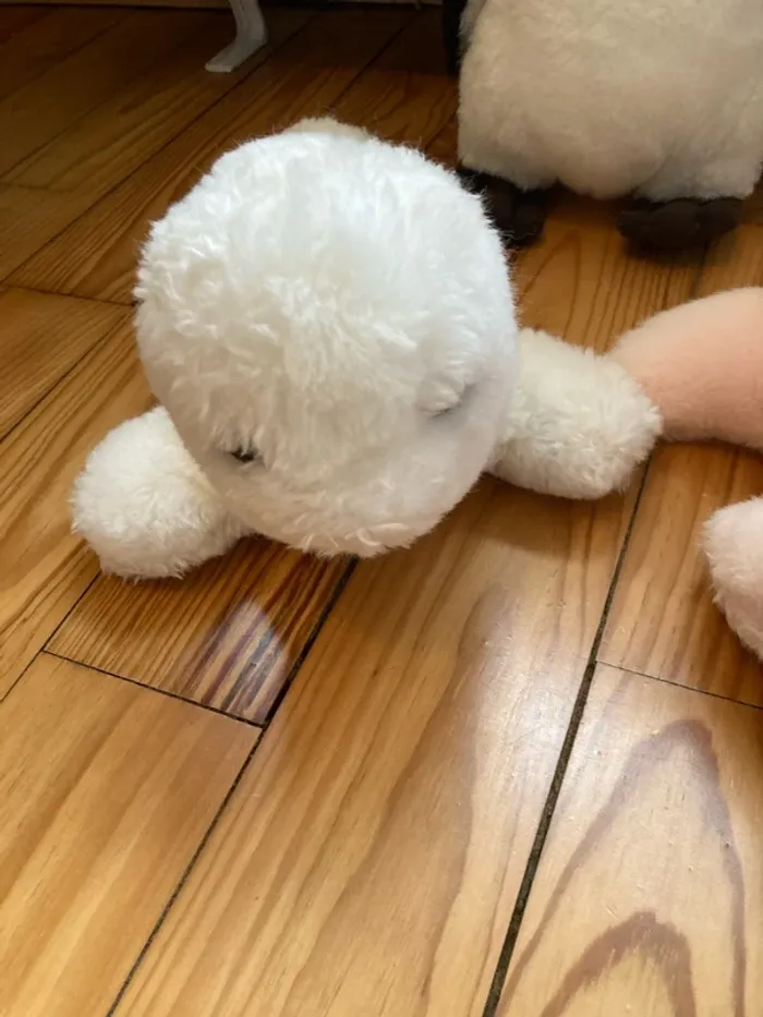 Lot de belles peluches pingouin/chat/phoque - photo numéro 4