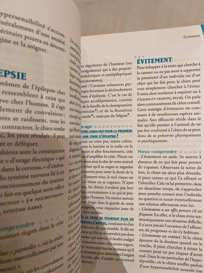 Le comportement du chien de A à Z - photo numéro 2