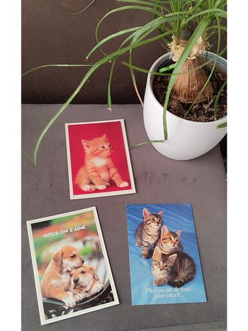 Lot de trois cartes postales