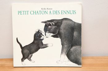 Petit chaton a des ennuis