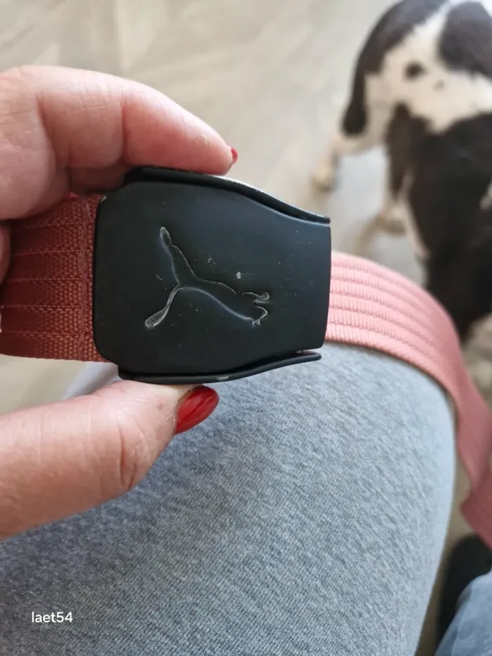 Ceinture "Puma" - photo numéro 2