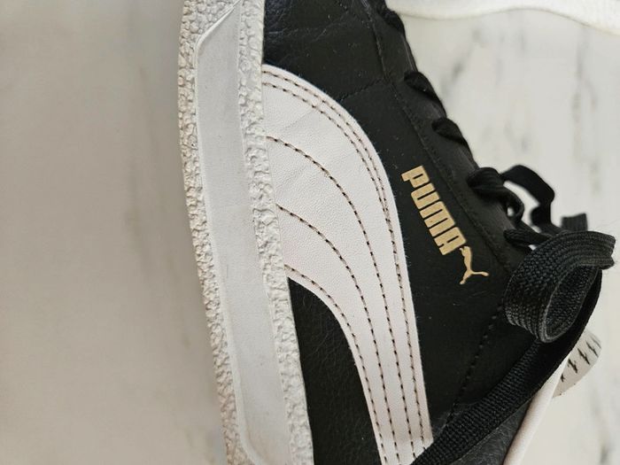 Puma basquets 38 - photo numéro 6