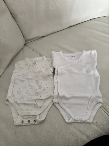 2 bodies