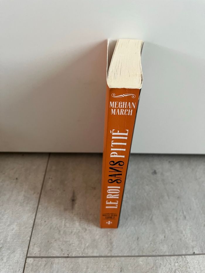 Le roi sans pitié de Meghan March - photo numéro 3