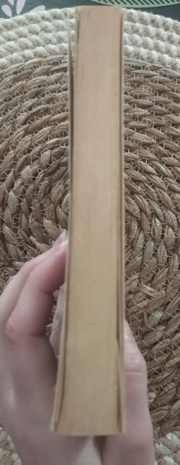 Livre Harry Potter et la chambre des secrets - photo numéro 4