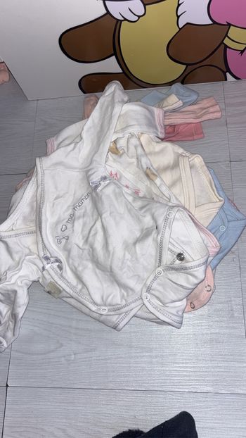 Lot bodies
