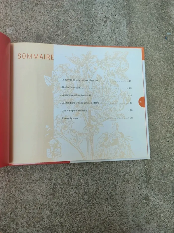 Livre la pomme de terre d'hier et d'aujourd'hui - photo numéro 6