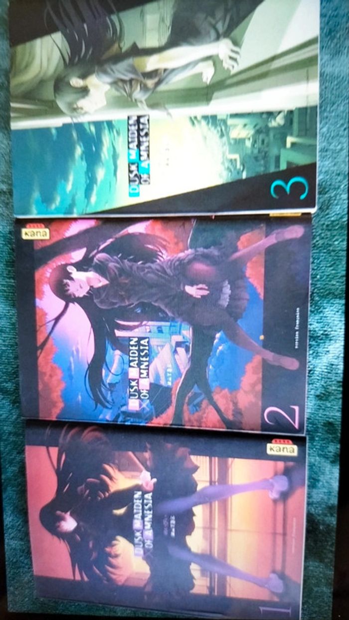 3 livres ' Dusk maiden of amnesia' - photo numéro 2