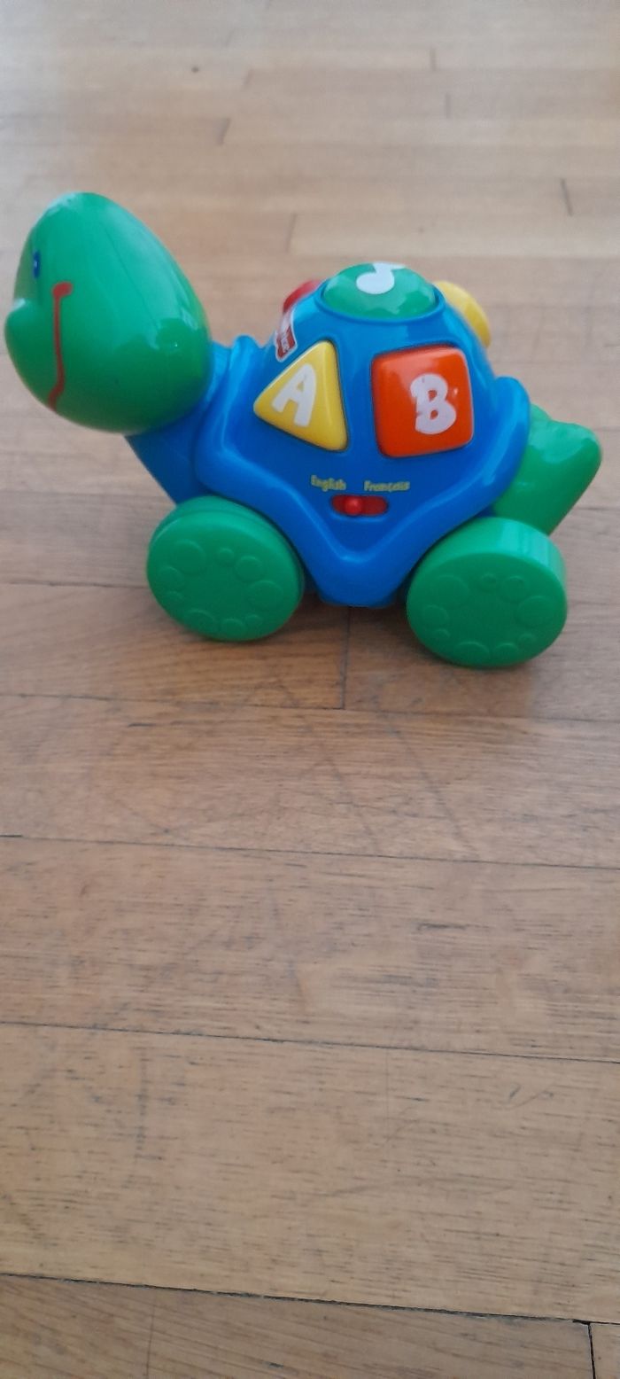 Tortue interactif - photo numéro 7
