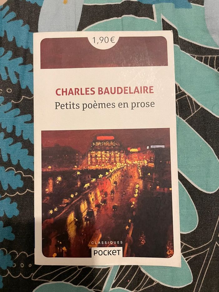 Petits poèmes en prose Baudelaire