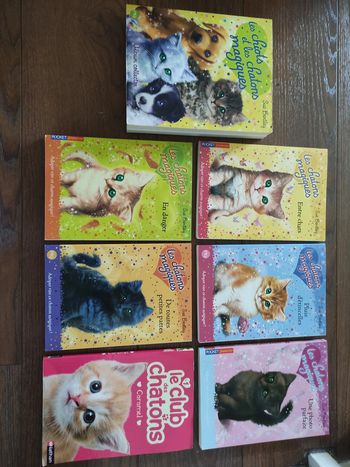Lot livres Les chatons magiques