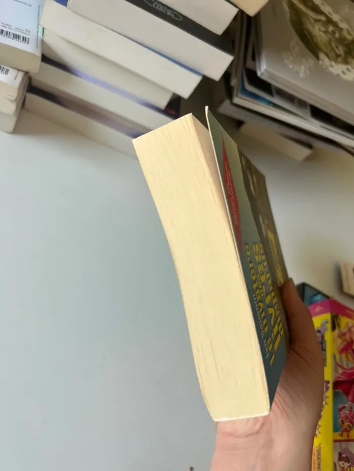 Le mystère des livres disparus - photo numéro 5