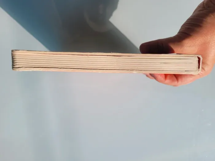 Livre sonore, des chansons à écouter 🪿 Drôles de petites comptines 🐷 - photo numéro 13