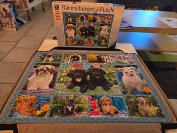 Puzzle plusieurs chien