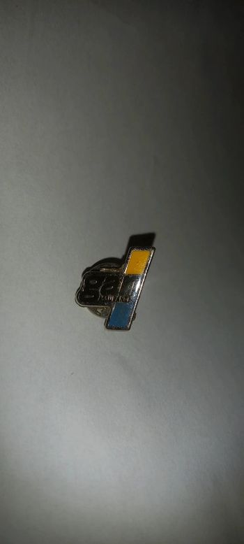 Pin's gan assurances