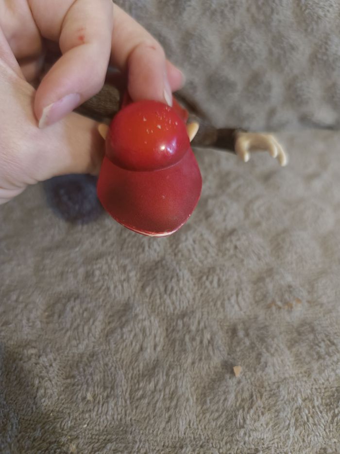 Donckey junior - photo numéro 2