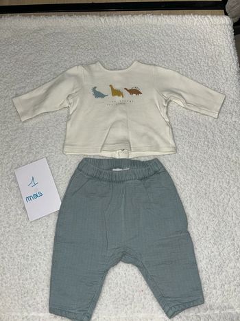 Ensemble bébé dinosaures
