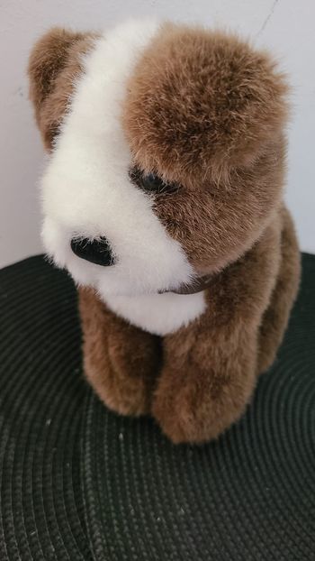 peluche chien assis marron blanc collier marron vintage bout 'chou