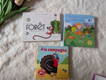 Lot de 3 livres musicaux