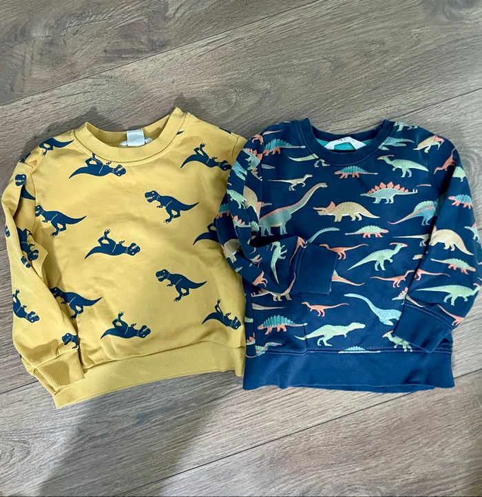 Lot sweat-shirts dinosaures 3 ans