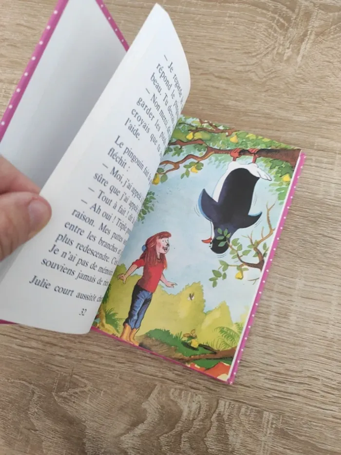 Livre le lapin en chocolat - photo numéro 3