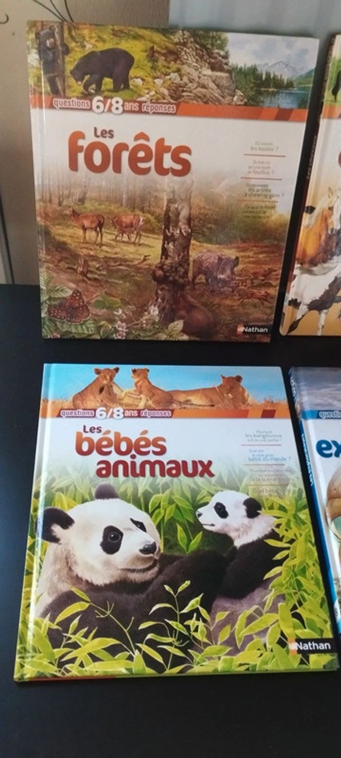 Lot de livres questions, réponses. - photo numéro 2