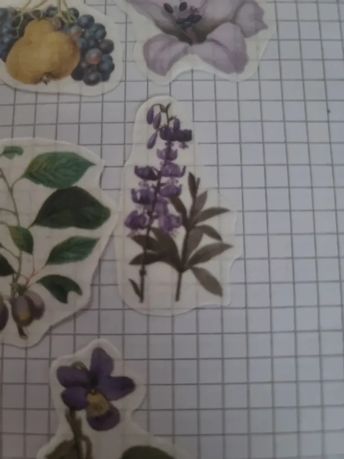 Lot stickers fleuri papier (lot D) - photo numéro 6