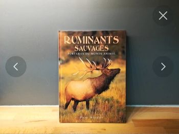 Livre les ruminants sauvages