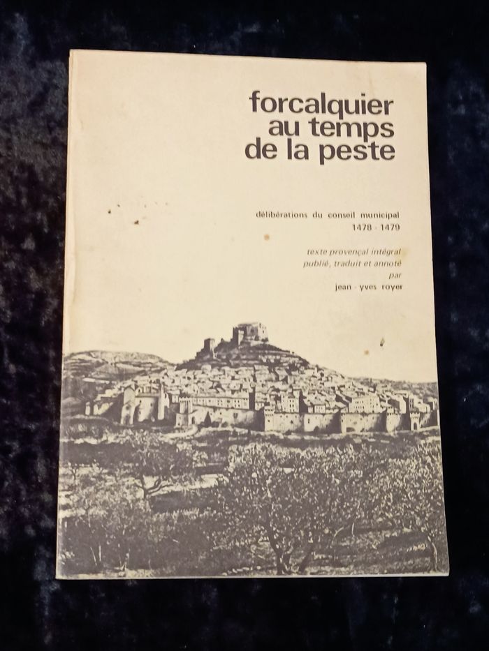 Forcalquier au temps de la peste - photo numéro 2