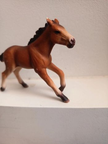 Poney Schleich