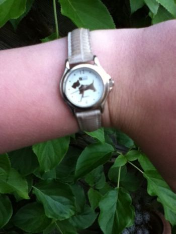 Montre chipie