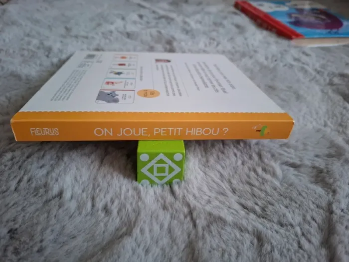 Livre "On joue, petit hibou ?" - photo numéro 4