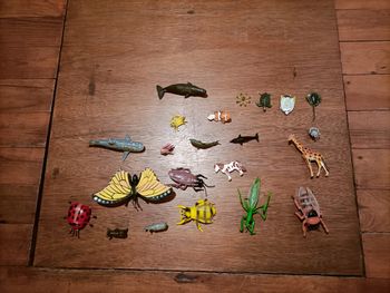 Figurines animaux variés