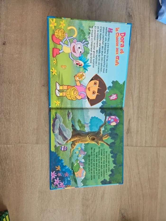 Livre dora l'exploratrice - photo numéro 4