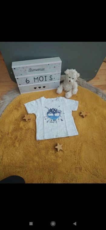 Tee shirt Timberland