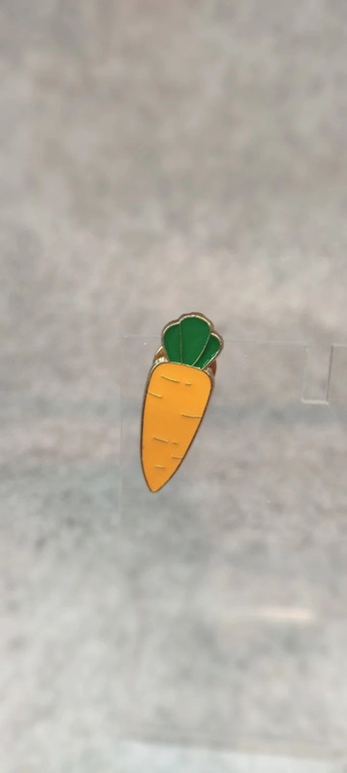 🍄 mini pin's carotte