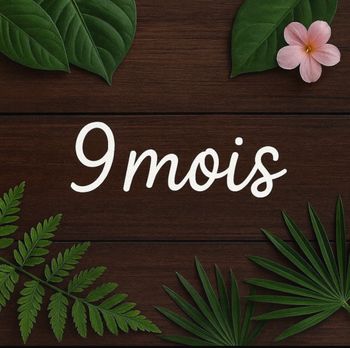 Lot vêtements fille 9 mois été – Petit Bateau, TAO, Verbaudet, Mayoral