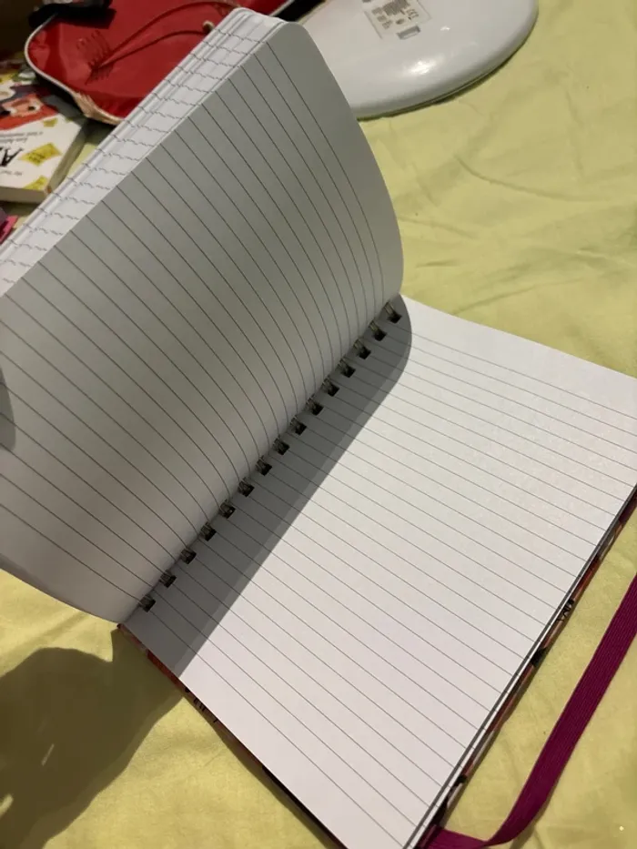 Carnet de note à spirale - photo numéro 6