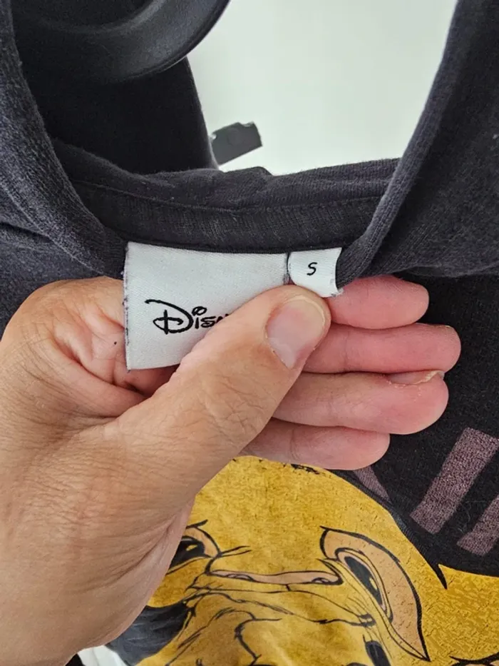 Pull Sweat a capuche roi lion +1 gratuit - photo numéro 2