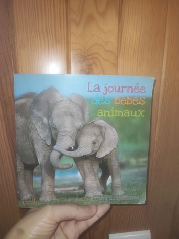 Livre la journée des bébés animaux