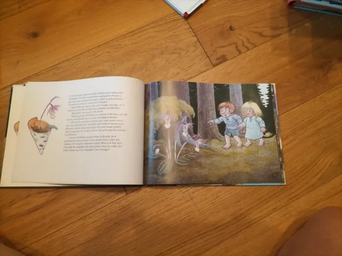 Livre Les trolls et Orchidée. - photo numéro 3