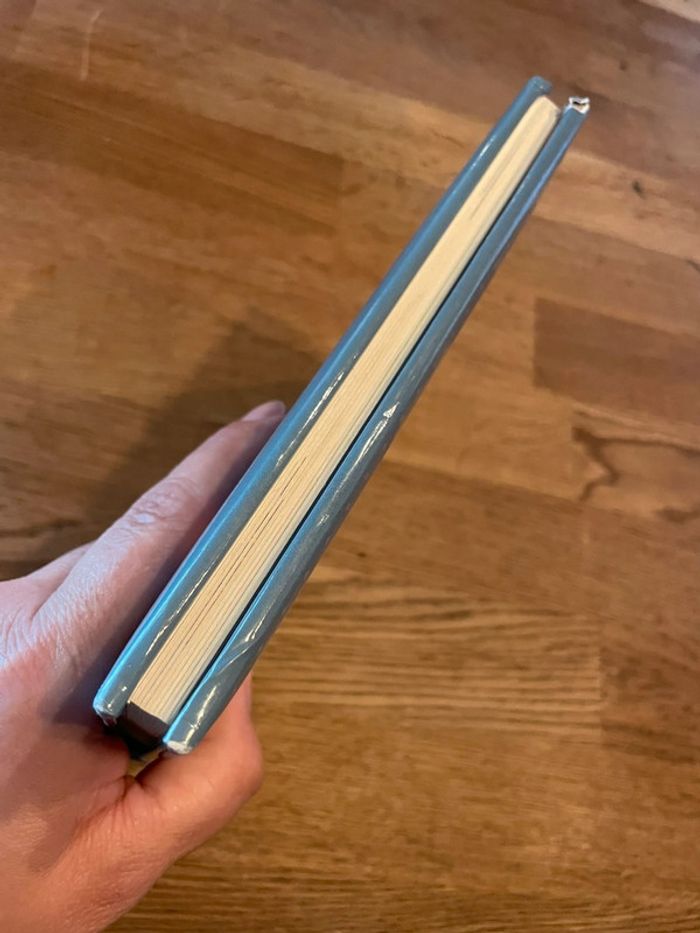 Livre Histoires à raconter pour les bébés Histoires pour faire dodo - photo numéro 4