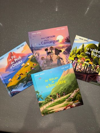 Lot 4 livres « merveilles de France »