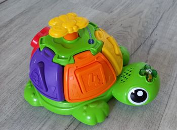 Tortue tourni-formes